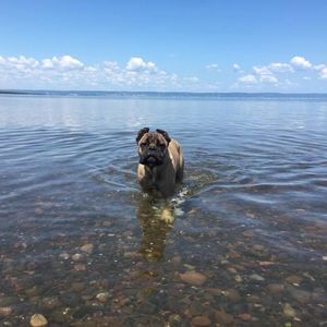 Meet your Posher, Keli